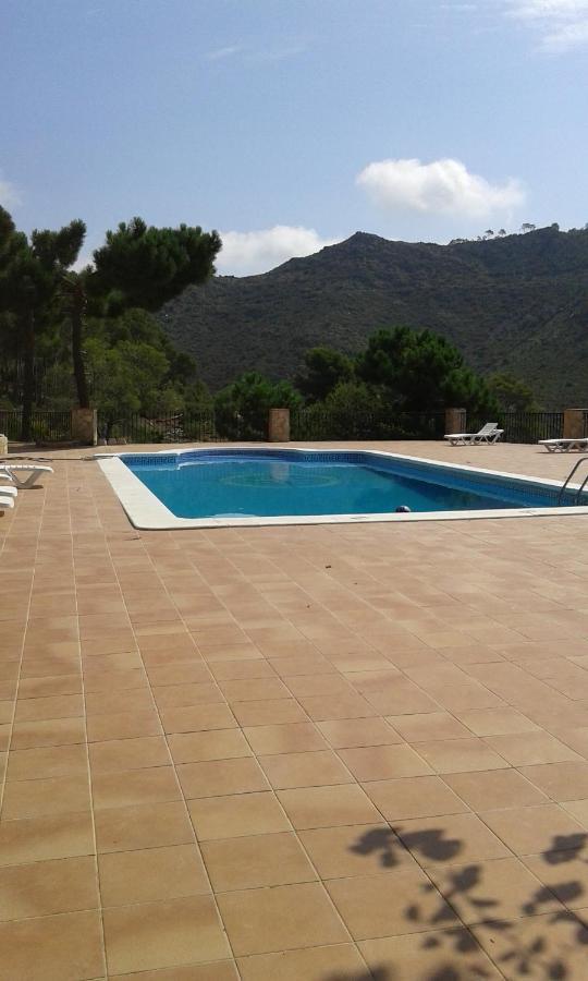 Riviera Lägenhet Benicàssim Exteriör bild
